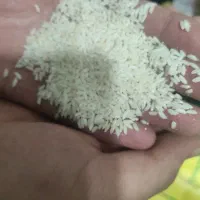 برنج عنبر بو زیر قیمت بازار|خوردنی و آشامیدنی|اهواز, باغ شیخ|دیوار