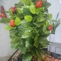 درخت سیب مصنویی|گل مصنوعی|دورود, |دیوار