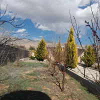 سلام حرص کاری چال کود پاکنی با تیلرو.درخت کاری