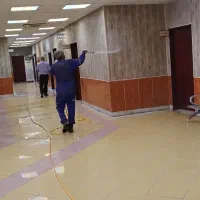 سمپاشی و موریانه زدایی تضمینی رامشیر|خدمات نظافت|رامشیر, |دیوار