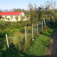 فروش-زمین-مسکونی-450متر-شرایط-3ماهه