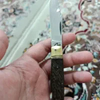 چاغو طلایی با طرح چوب