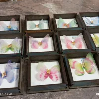 پروانه کادویی(طلا)|جواهرات|تهران, صادقیه|دیوار