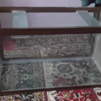 آکواریوم سالم