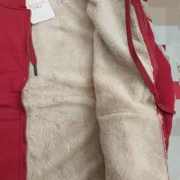 سویشرت کاملا نو|لباس|تربتحیدریه, کاشانی|دیوار