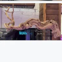 تراریوم وسایل اکواریوم