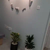 استخدام ادمین برای مطب دندانپزشکی