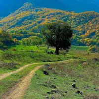 تور یک روزه 18 اردیبهشت مسیر جدید (دنیزتور)