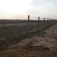 فروش ۶۰۰۰ متر باغ پسته|فروش زمین و ملک کلنگی|رامند, |دیوار