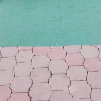 فروش اجناس کامل آجیل و خشکبار و مغازه کامل|فروشگاه و مغازه|گرگان, |دیوار