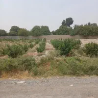 تهاتر زمین با ملک یا ماشین امیریه میدان کوزه|فروش زمین و ملک کلنگی|شهریار, شهرک امیریه|دیوار