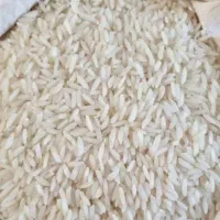 برنج هاشمی  درجه یک قیمت ۴۸۰ هزارتومان