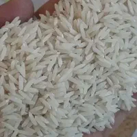 برنج طارم فریدنکنار خوش عطر خوش پخت