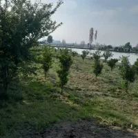 آذری-زبانم1400متر-باغ-مرکبات-با-انشعابات-دور-دیوار