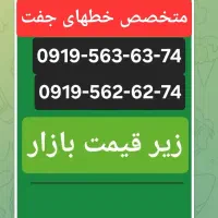 خط جفت