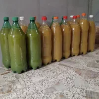 آبغوره طبیعی