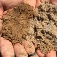 گوسفندی گاومیش گاوی