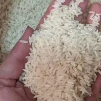 برنج هاشمی محلی|خوردنی و آشامیدنی|رشت, جماران|دیوار