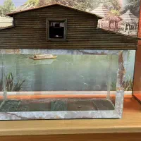 یک آکواریوم  مناسب و زیبا