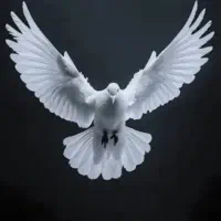 کرباتی کرواتی