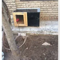 قفس حیوانات