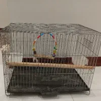قفس پرنده سایز بزرگ