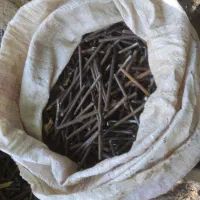 میلگرد فنس و تیرچه|مصالح و تجهیزات ساختمان|گرگان, |دیوار