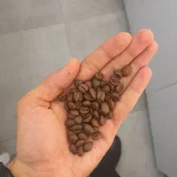 فروش قهوه و نوشیدنی چکی و قراردادی