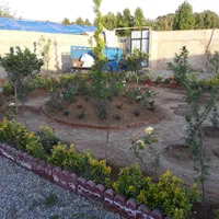 خدمات باغبانی.هرس.استخر.محوطه‌سازی.|خدمات باغبانی و درختکاری|رباط‌کریم, رباط‌کریم|دیوار
