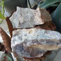 عقیق سوسنی شجر بسیار زیبا و چشم نواز راف|کلکسیون اشیاء عتیقه|هشتگرد, تهران دشت|دیوار