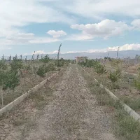 ده هکتار زمین کشاورزی همراه با تمامی امکانات