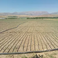 انجام لوله کشی باتیپ برای لوبیاوپیازوغیره...|خدمات باغبانی و درختکاری|دورود, |دیوار