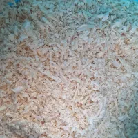 پوشال چوب روسی|لوازم جانبی حیوانات|کاشان, حسن آباد|دیوار