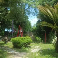 اجاره ویلاباغ استخردارمجموعه آبهایDobai/گیم/سیستم|اجارهٔ کوتاهمدت ویلا و باغ|نوشهر, |دیوار