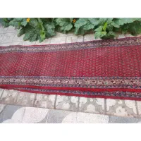 فرش وکناره فرش دستبافت|فرش|شیراز, کوزه گری|دیوار