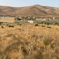 زمین باغ شهری واقع در مجموعه سبز دشت بمو باجگاه|فروش زمین و ملک کلنگی|شیراز, دانشکده دامپزشکی شیراز|دیوار