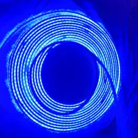 ریسه شلنگی نور مخفی آبی رنگ ۱۱ متری