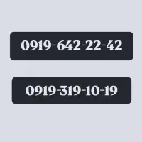 فروش سیمکارت اعتباری رند ۰۹۱۹