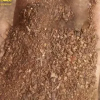 پدر خرما مناسب برای تغزی دام