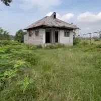 کد جزیره/کلنگی۷۰۰متر/ویو جزیره ای شالیزار/لولمان