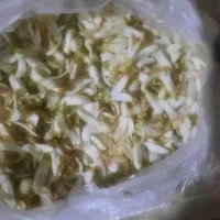 بهار نارنج خالص صادراتی|گل و گیاه طبیعی|نورآباد ممسنی, |دیوار