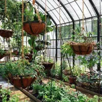 کارگربرای گلخانه گیاهان زینتی