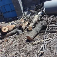 خرید چوب|خدمات باغبانی و درختکاری|کرمان, |دیوار