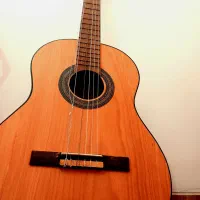 گیتار آموزشی رویال