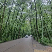 منشی خانم و نظافتی خانم