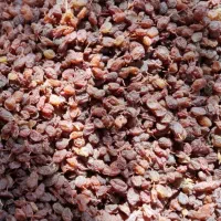 کشمش و شیره انگور|خوردنی و آشامیدنی|بروجرد, |دیوار