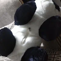 عروسک پاندا سایزبزرگ|اسباببازی|کرج, مصباح|دیوار