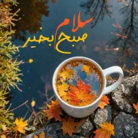 راهنمایی کنید