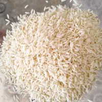 برنج طارم هاشمی دوباره کشت نوج|خوردنی و آشامیدنی|بابل, |دیوار