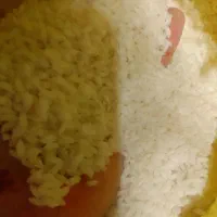 برنج محلی|گل و گیاه طبیعی|ایرانشهر, |دیوار